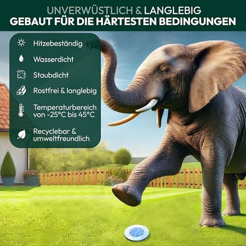 Elefant spritzt Wasser auf Rasen mit Produkteigenschaften.